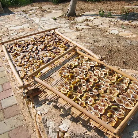 Hébergement de vacances Il Gabbiano Racale